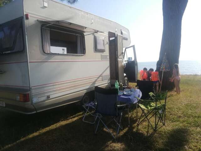 Кемпинги Camping in Georgia Тбилиси-4